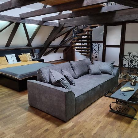 Galerie Vila Lucia #5 - mezotonový apartmán Plzeň Esterno foto