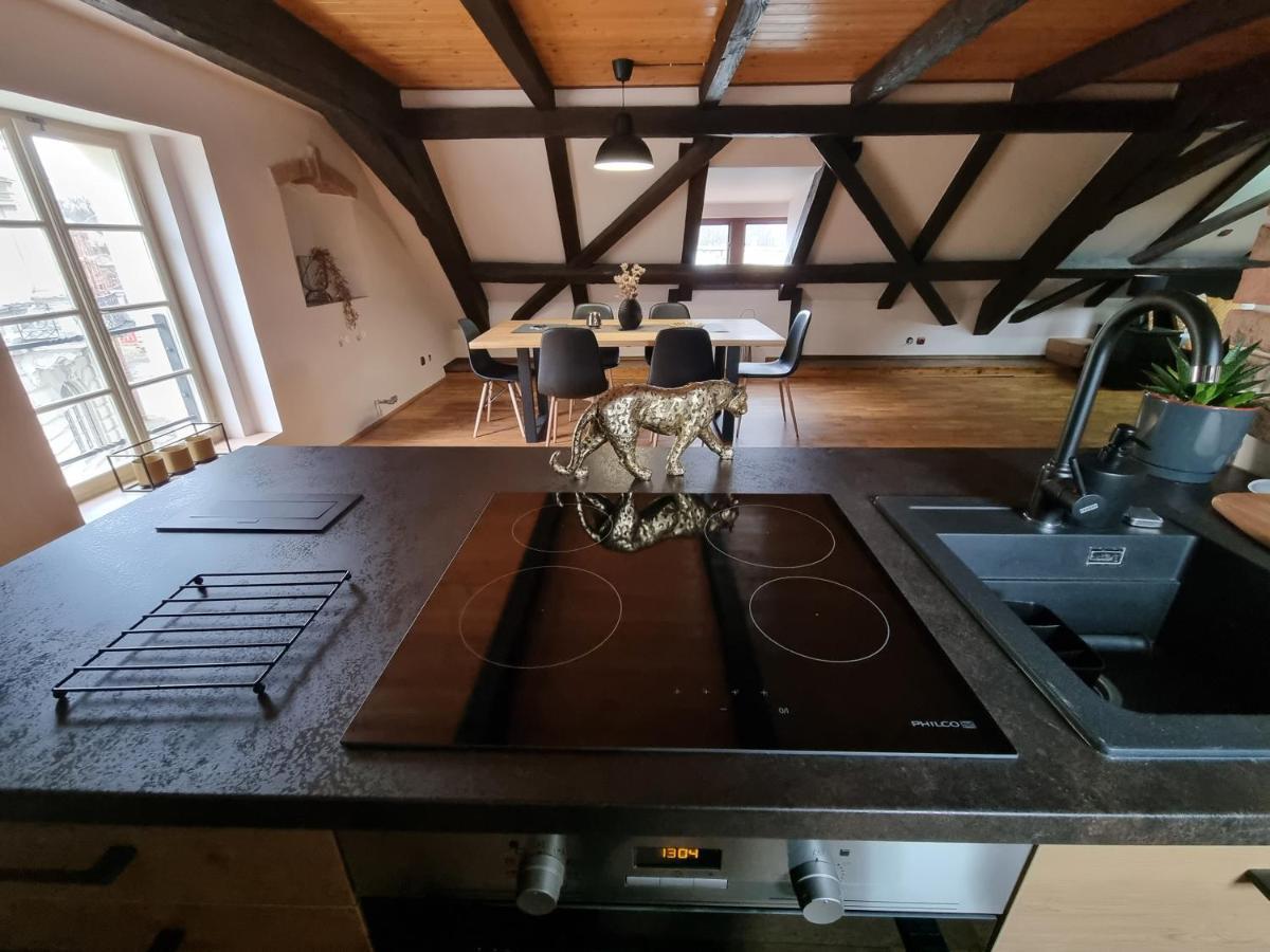 Galerie Vila Lucia #5 - mezotonový apartmán Plzeň Esterno foto