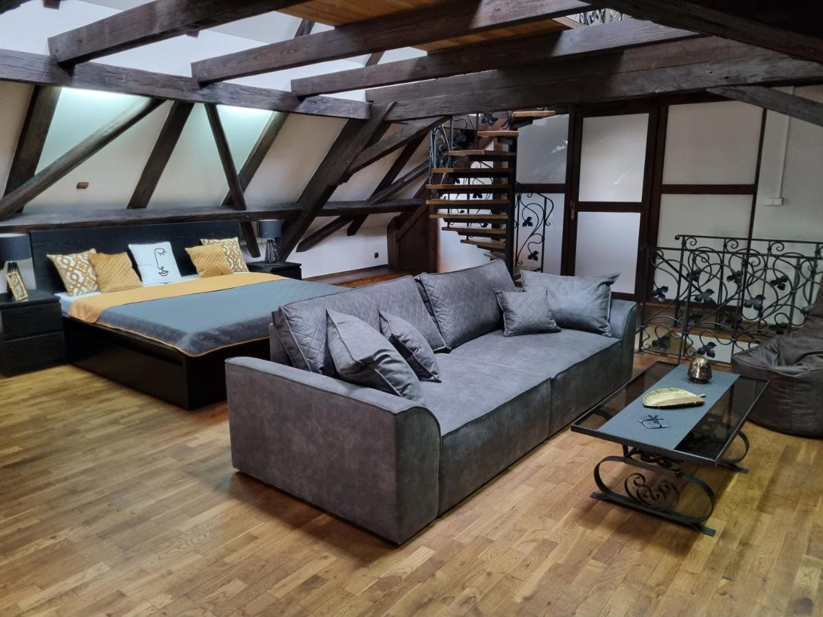 Galerie Vila Lucia #5 - mezotonový apartmán Plzeň Esterno foto