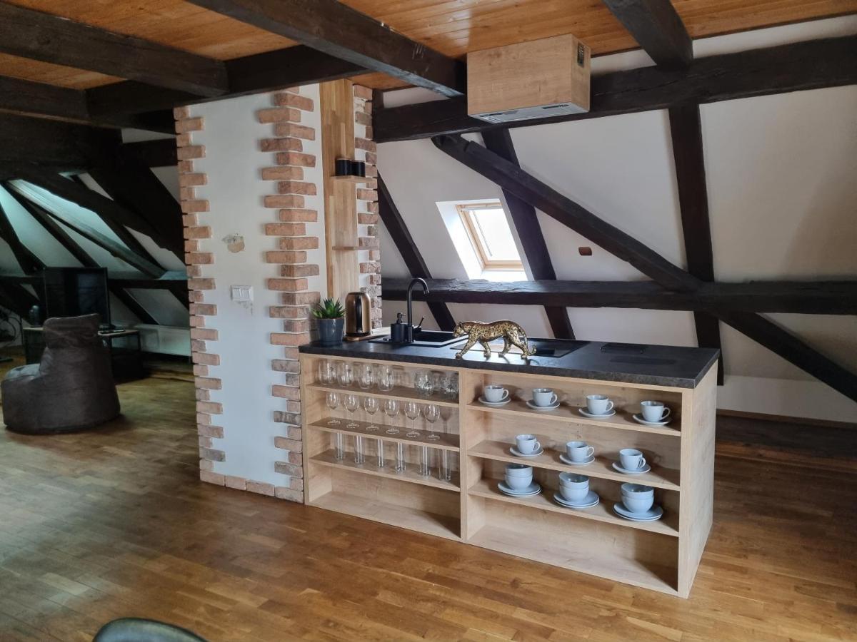 Galerie Vila Lucia #5 - mezotonový apartmán Plzeň Esterno foto