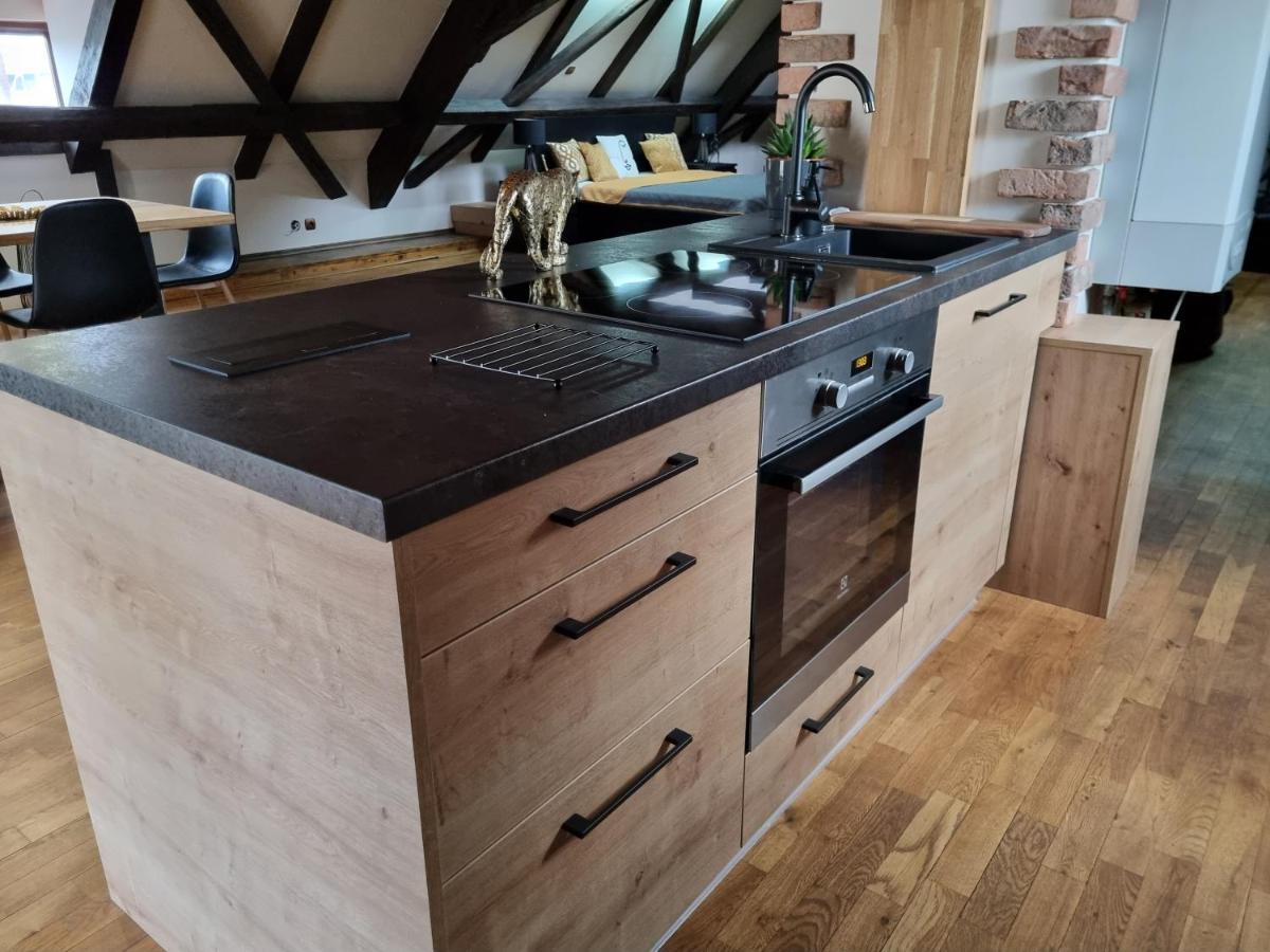Galerie Vila Lucia #5 - mezotonový apartmán Plzeň Esterno foto