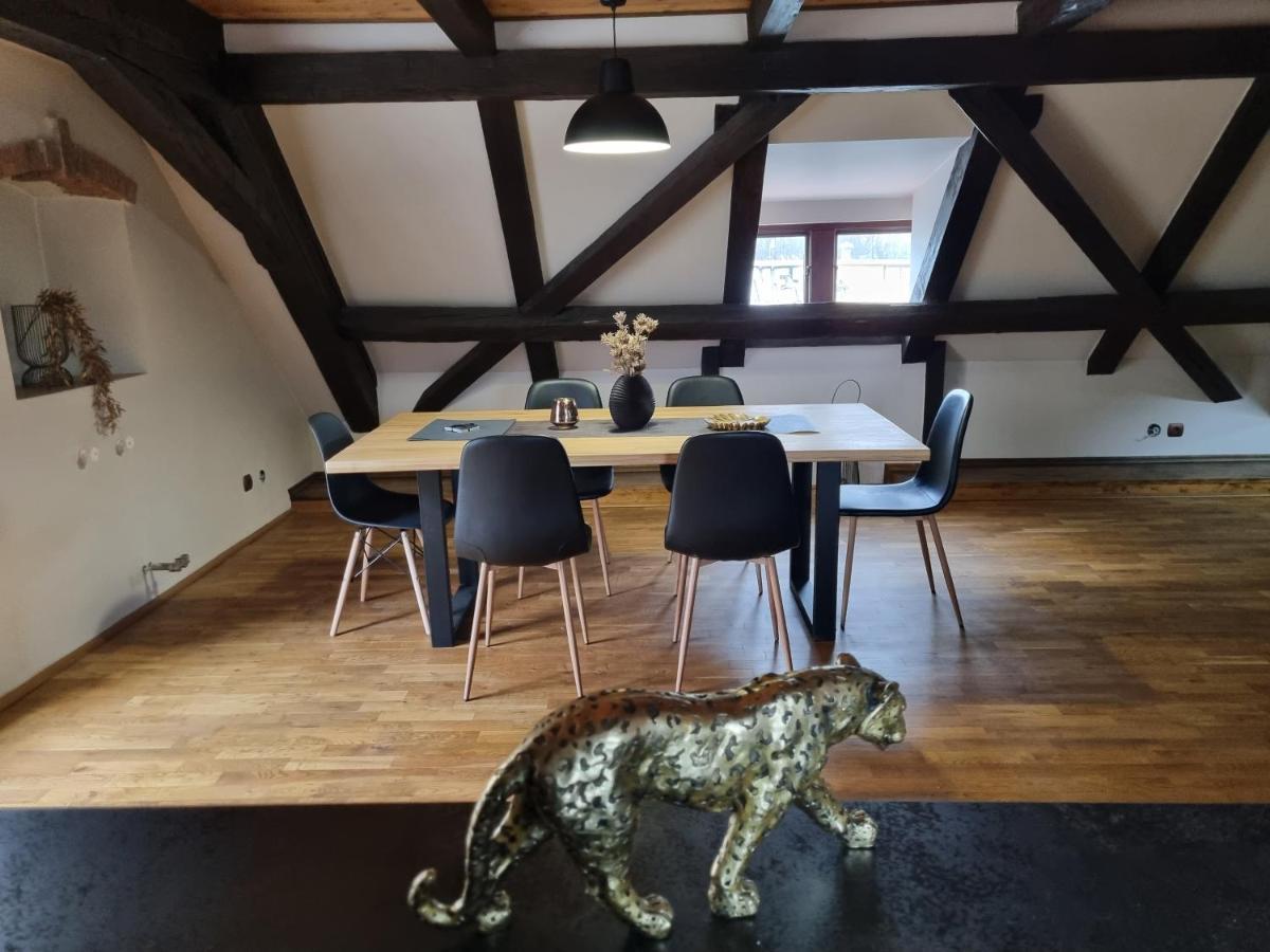 Galerie Vila Lucia #5 - mezotonový apartmán Plzeň Esterno foto