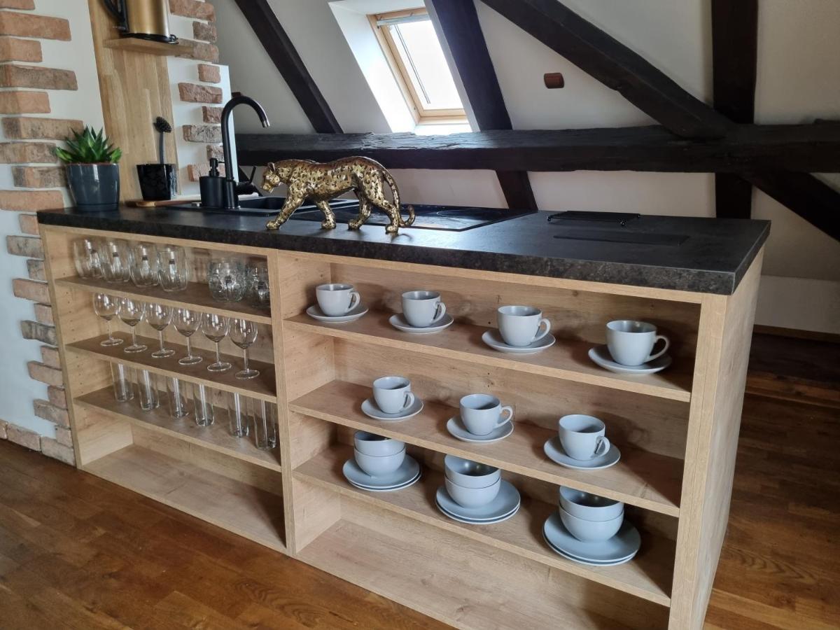Galerie Vila Lucia #5 - mezotonový apartmán Plzeň Esterno foto