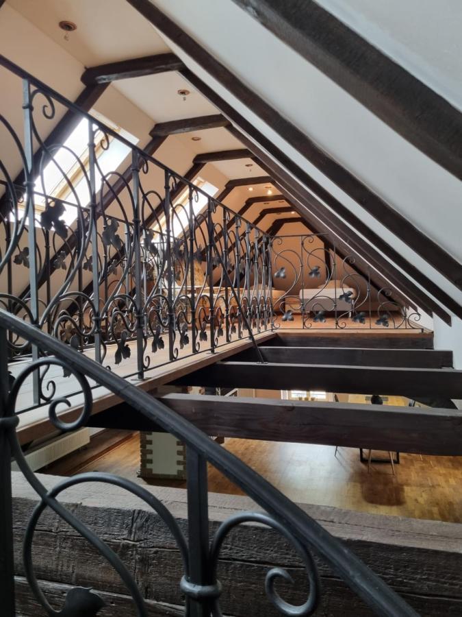 Galerie Vila Lucia #5 - mezotonový apartmán Plzeň Esterno foto