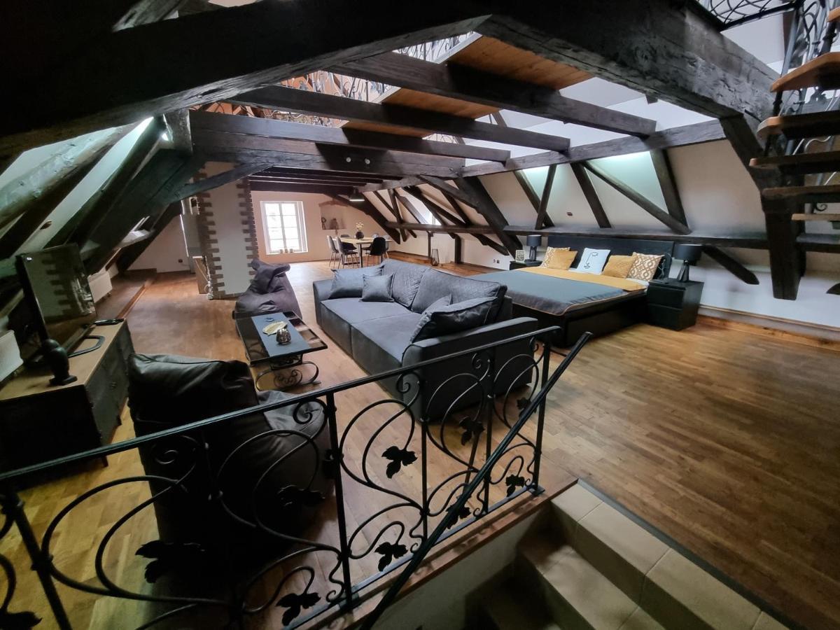 Galerie Vila Lucia #5 - mezotonový apartmán Plzeň Esterno foto