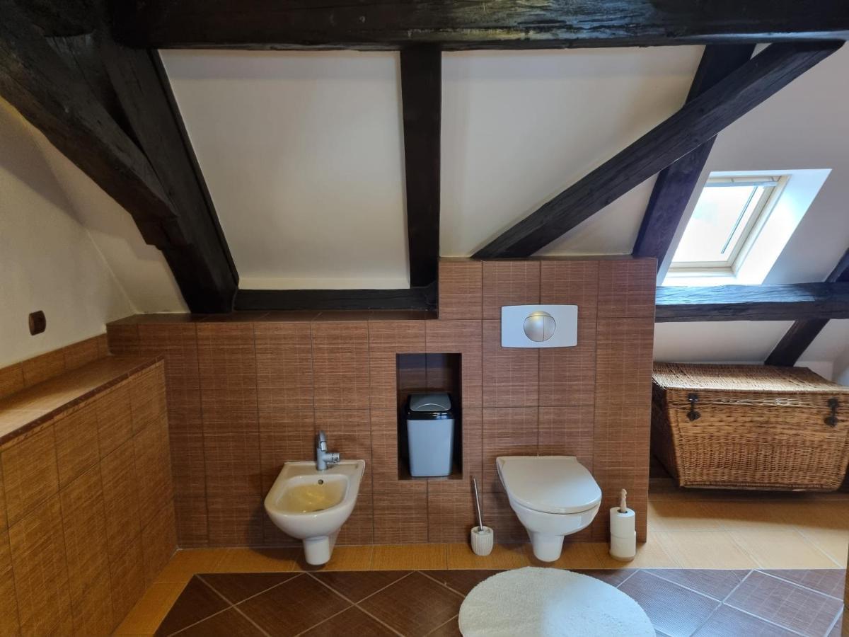Galerie Vila Lucia #5 - mezotonový apartmán Plzeň Esterno foto