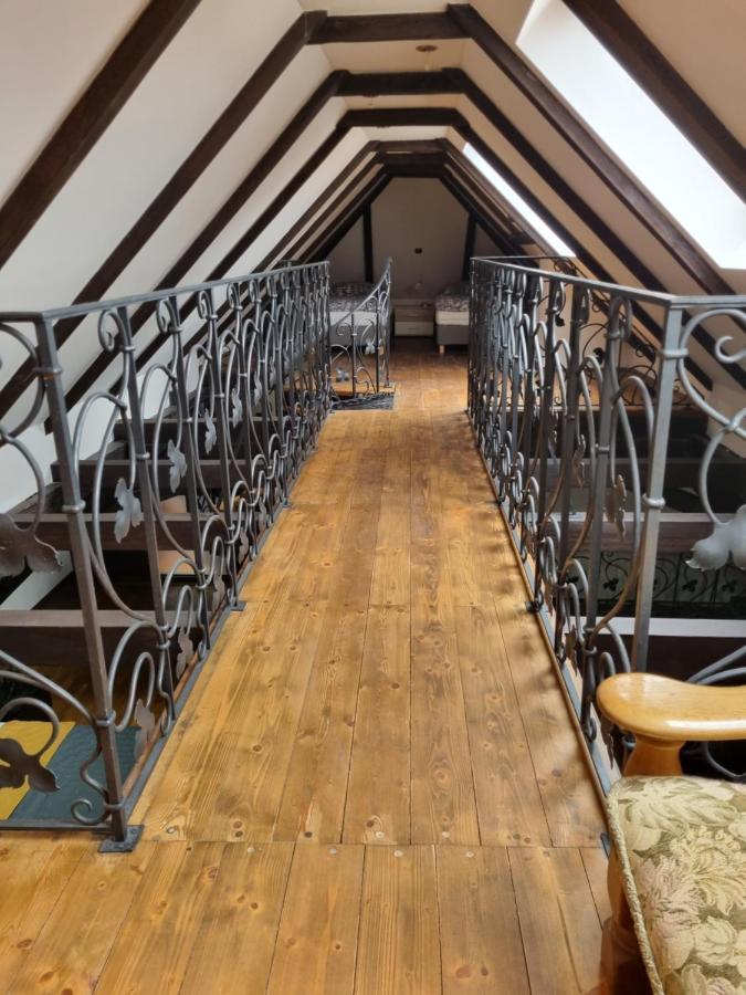 Galerie Vila Lucia #5 - mezotonový apartmán Plzeň Esterno foto